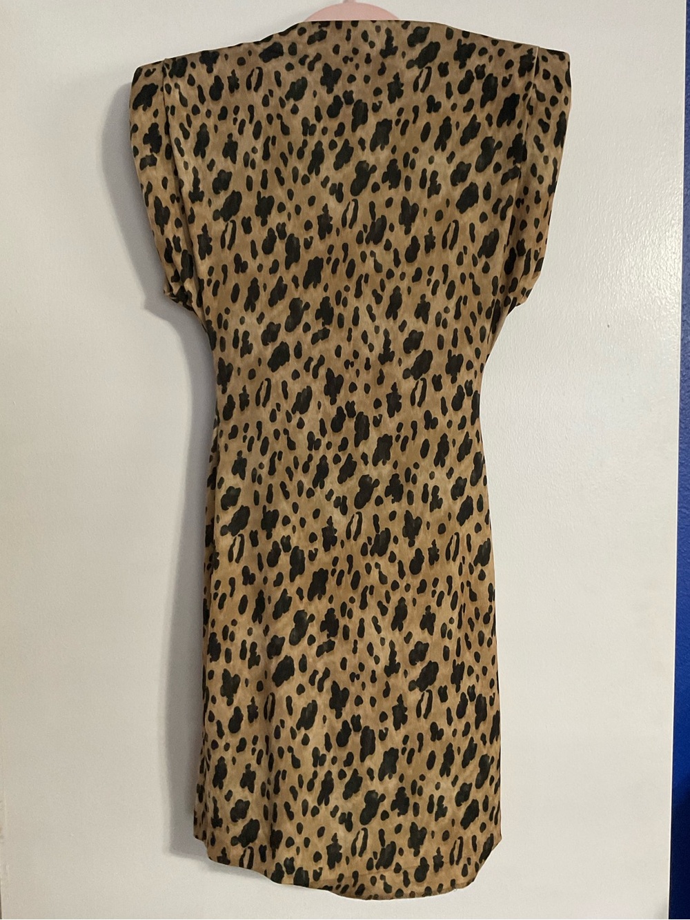 Zara Leopard-Print Mini Dress